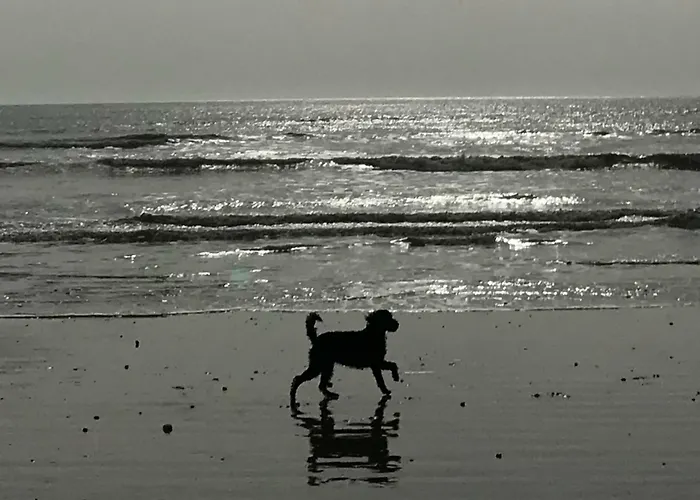 Elegant York House - On A Beach Road, Sleeps 12, With Sea Views